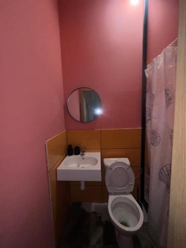 a bathroom with a toilet and a sink and a mirror at Queens Safehouse in Brozany