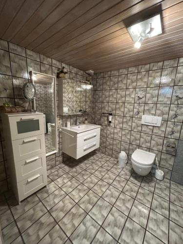 a bathroom with a sink and a toilet in it at Moosinest-Birkenzimmer in Schonach