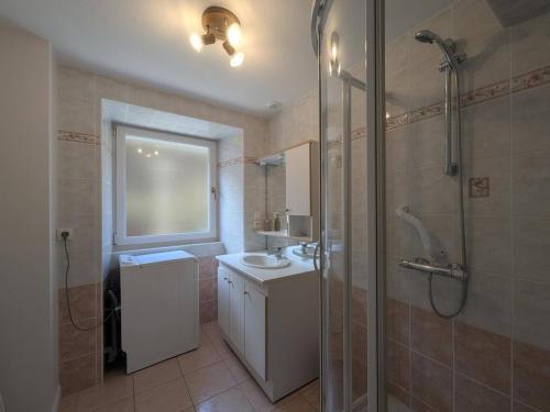 a bathroom with a shower and a sink and a toilet at Renée-Sens in Châteauvillain