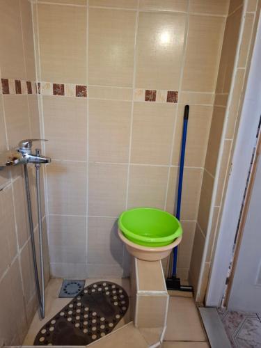 a bathroom with a green toilet and a shower at Dukii in Vrnjci
