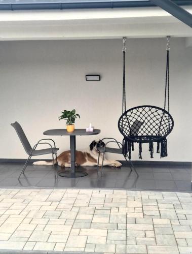 a table and chairs and a dog laying under a table at Gusturi din Livadă in Costeşti-Vîlsan