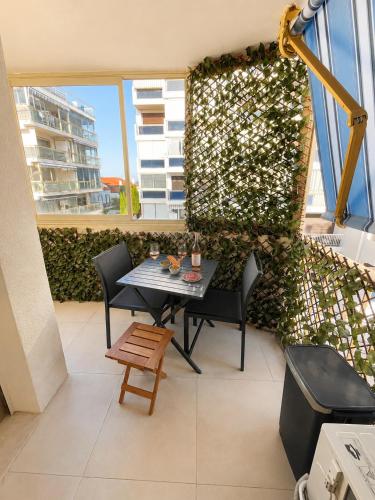 L'Hippocampe, Palm Beach, Studio, 2P, AC, Terrace