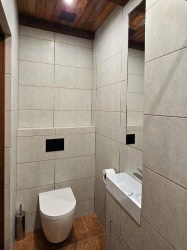 a bathroom with a toilet and a sink at Medaus slėnis in Šilinė