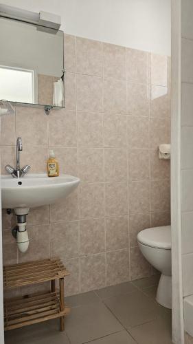 a bathroom with a sink and a toilet at Studios Corte Restonica in Corte