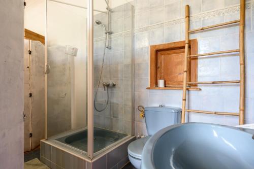 a bathroom with a shower and a toilet and a tub at Appartement Cadichon in Munster