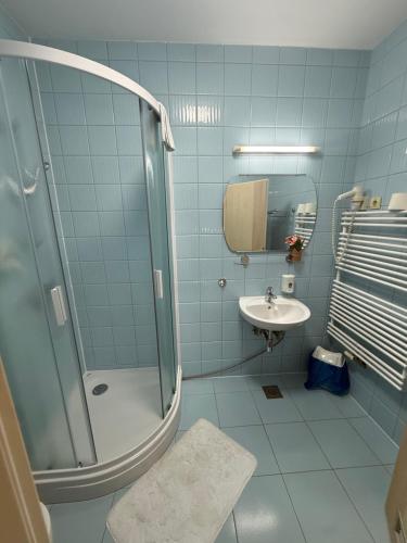 een badkamer met een douche en een wastafel bij Hotel Erasmus in Postojna