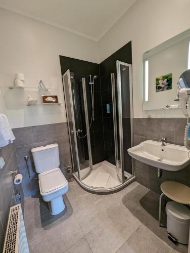 a bathroom with a shower and a toilet and a sink at Weinhotel St. Stephanus in Zeltingen-Rachtig