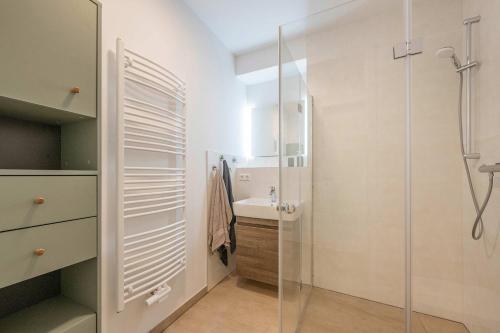 a bathroom with a shower and a sink at FeWo Tommy in Zirchow