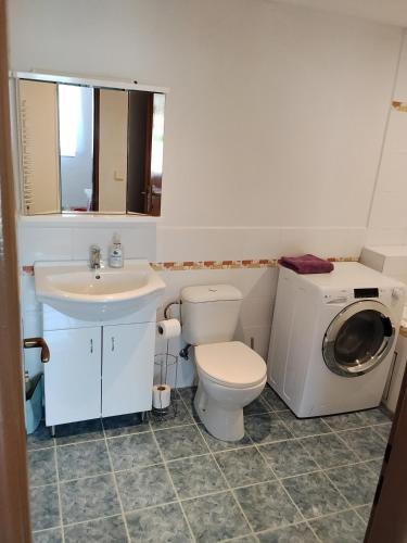 a bathroom with a toilet sink and a washing machine at Apartmán in Doubravice