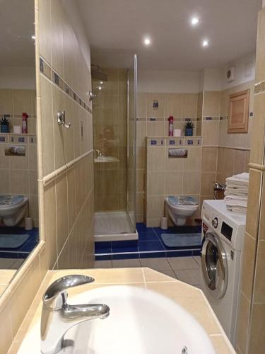 a bathroom with a sink and a washing machine at Apartmán Merkur in Kadaň