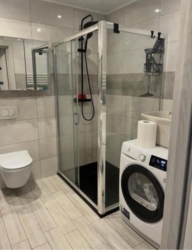 a bathroom with a washing machine and a washer at Pokoje J&J in Grabówka