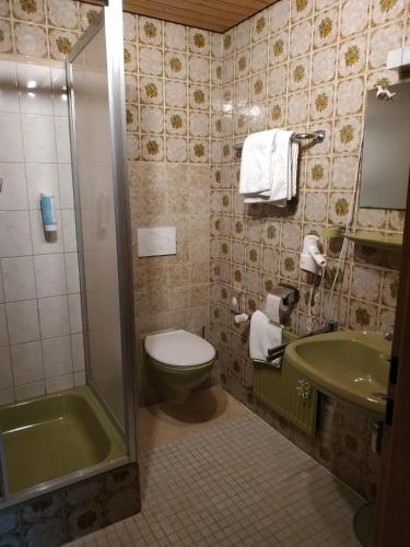 a bathroom with a toilet and a sink and a shower at Hotel Waldblick BSR Garten mit Pavillons im Schwarzwald, ideal für Paare, Familien, Hunde in Donaueschingen
