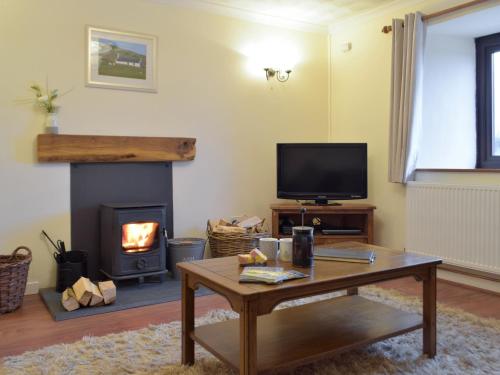 a living room with a television and a fireplace at Pengelli Cottage in Eglwyswrw
