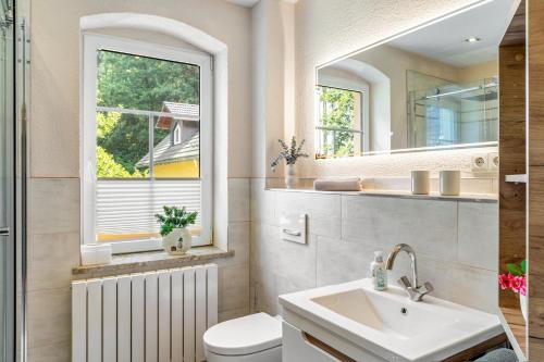 a bathroom with a sink and a toilet and a mirror at Ferienwohnung Schwarzmühle 2 in Neuer Anbau