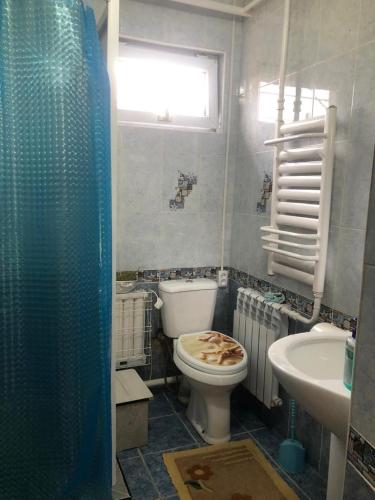 a bathroom with a shower and a toilet and a sink at Чолпон-Ата Коттедж in Cholpon-Ata