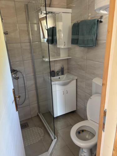 a bathroom with a shower and a toilet and a sink at Apartman Brod in Konjska Reka