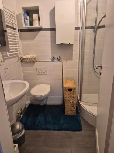 a bathroom with a toilet and a sink and a shower at Ruhiges Nest in Bad Endorf