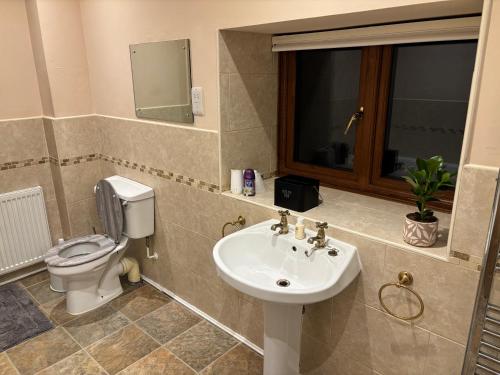 a bathroom with a sink and a toilet at Batty lodge in Cockerham