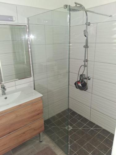 a bathroom with a shower with a sink and a mirror at villa Kanel in Le Robert