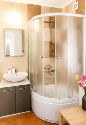 a bathroom with a shower and a sink at "Trakaitis" nameliai in Trakai