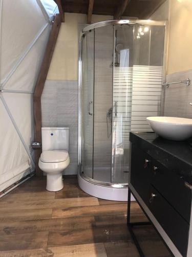 a bathroom with a shower and a toilet and a sink at Private Dome Relax in Nature in San Bernardino