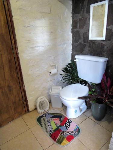 a bathroom with a toilet and a rug on the floor at Casa de huéspedes cochera cubierta in Oberá