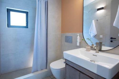 a bathroom with a sink and a toilet and a shower at Zoe Sea View Villas in Paleros