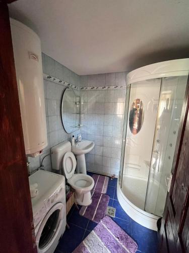 a bathroom with a toilet and a sink and a washing machine at Vacation home E in Borsec