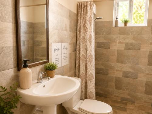 a bathroom with a sink and a toilet at Bon Bini Kokolishi in Willemstad