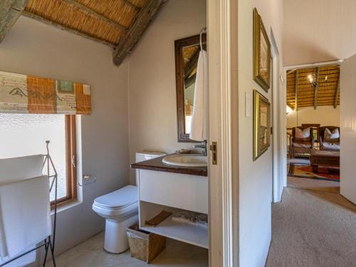 a bathroom with a sink and a toilet at Montusi Self-Catering Cottages in Bergville