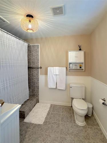 a bathroom with a toilet and a shower and a sink at The Treehouse on Table Rock in Eureka Springs