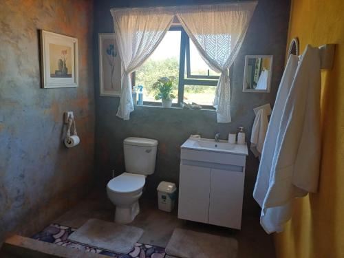 a bathroom with a toilet and a sink and a window at BosSpoke Bush Lodge in Thabazimbi