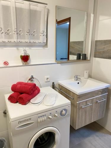 a bathroom with a washing machine and a sink at Charlottenhöhe Apartment in Rottweil