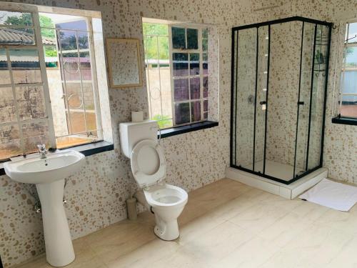 a bathroom with a toilet and a sink at Larry's Lodge in Livingstone
