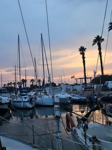 a group of boats docked in a marina at sunset at BoatMotel in Sainte-Marie-la-Mer