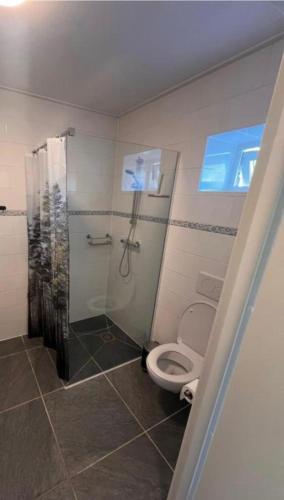 a bathroom with a toilet and a shower at Marieborg Apartments in Ekshärad