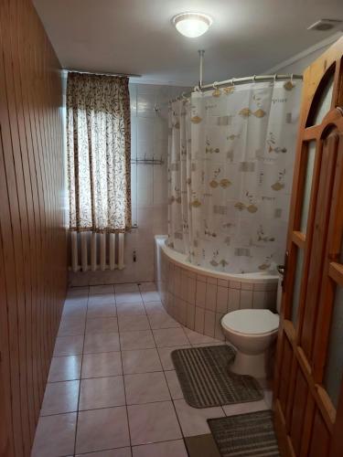 a bathroom with a tub and a toilet and a shower at Садиба На лужку in Lazeshchyna