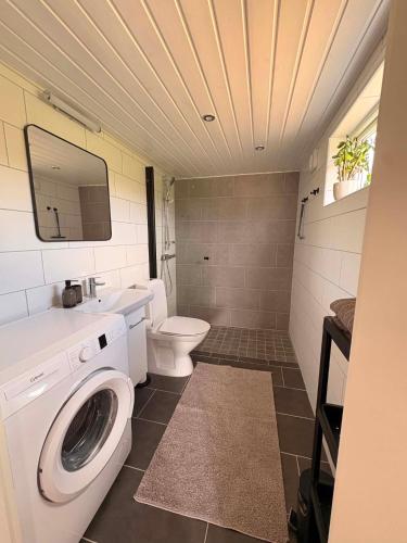 a bathroom with a washing machine and a toilet at Stugan i Vik på Österlen in Simrishamn