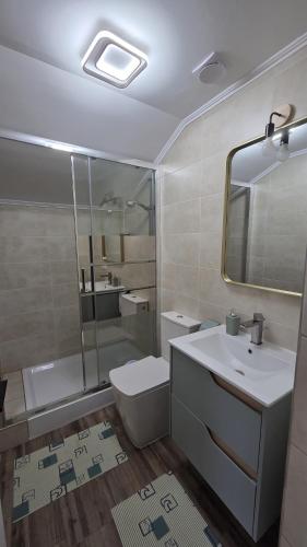 a bathroom with a toilet and a sink and a shower at Complex Casa Morii in Orăştie