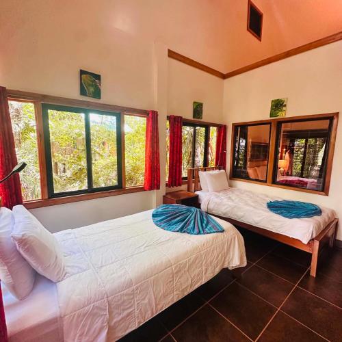 two beds in a room with windows at Mariposa Jungle Lodge in San Ignacio