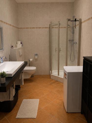 a bathroom with a shower and a toilet and a sink at Feel-Fine Guesthouse in Nieuw-Buinen