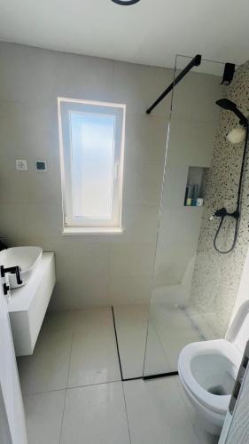 a bathroom with a shower and a toilet and a sink at Regina Maris in Betina
