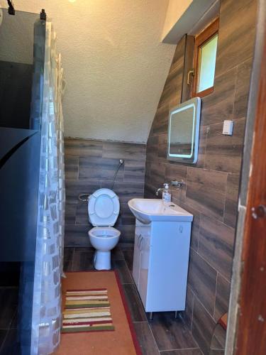 a small bathroom with a toilet and a sink at Komovi Sky House in Andrijevica