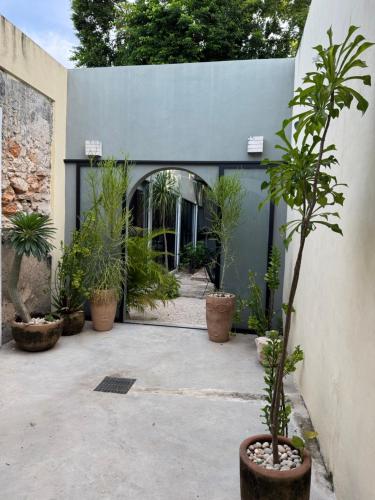 a courtyard with a bunch of potted plants at Casa Ramon Merida 2 BR AC Private Pool Centro in Mérida