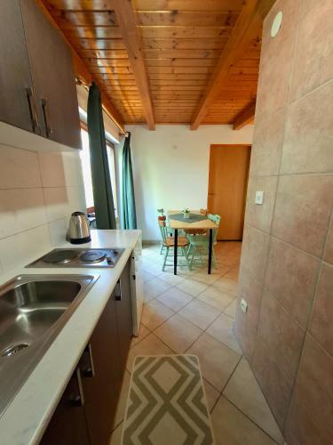 a kitchen with a sink and a table in a room at Zelena Dolina in Ćuić Brdo