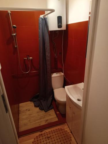 a small bathroom with a toilet and a shower at W Częstochowie in Częstochowa