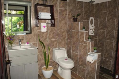 a bathroom with a toilet and a sink at Pino Lodge, Río Celeste in Bijagua