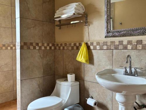 a bathroom with a toilet and a sink at Hotel Finca Las Hortensias in Tepotzotlán