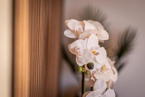 Serenity Penthouse Residence, Kallithea