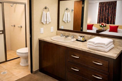 a bathroom with a sink and a toilet and a mirror at HOTEL OASIS Matehuala in Matehuala